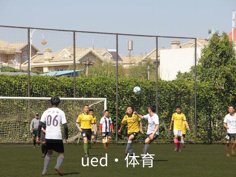 ued·体育概况